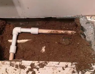 崇明测漏水哪家好