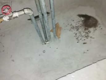 崇明卫生间测漏水价格明细