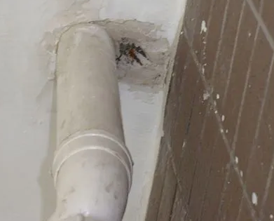 崇明漏水检测哪家好